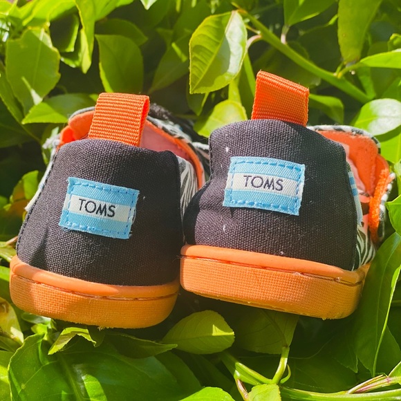 Toddler Zebra Toms - Picture 7 of 9